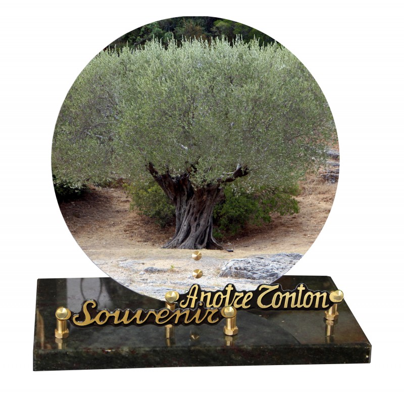 Plaque funeraire olivier