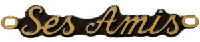 Bronze - Ses amis