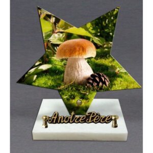 Plaque funéraire Cèpe et pomme de pin dans une étoile