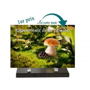 Plaque funéraire P-820-PS 20x30cm