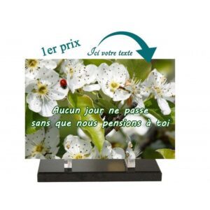 Plaque funéraire P-821-PS 20x30cm