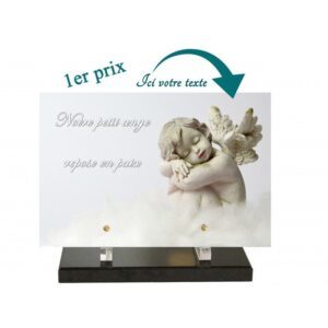 Plaque funéraire P-823-PS 20x30cm