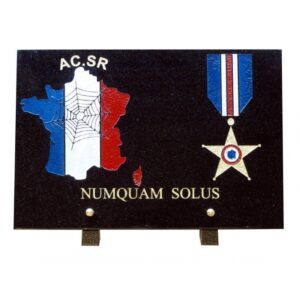 Plaque funéraire Section de recherche 20x30  cm