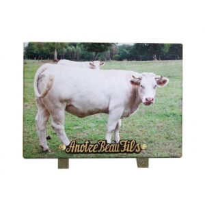 Plaque funéraire Vache pré 18x25cm
