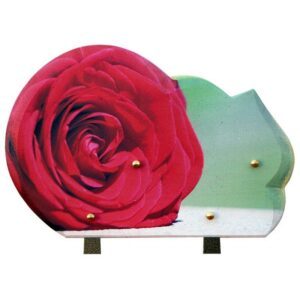Plaque funéraire RB 204 rose 20x30 cm