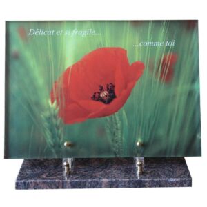 Plaque funéraire Beau coquelicot rouge