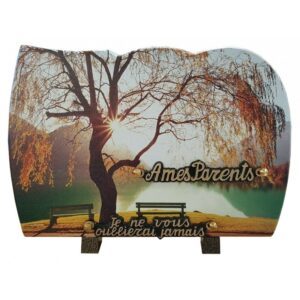 Plaque funéraire n°265 banc 20x30 cm