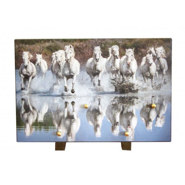 Plaque funéraire chevaux camarguais 20x30 cm
