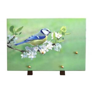 Plaque funéraire mésange bleue 20x30 cm