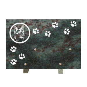 Plaque funéraire Ani chat1 Vt 20x30cm
