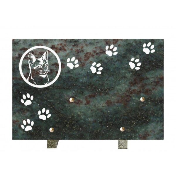 plaque-granit-n280h-vt-20x30cm-chasseur