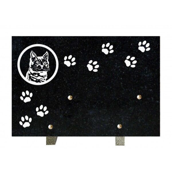 Ani chat2 Ma 20x30cm