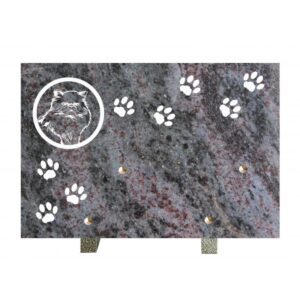 Plaque funéraire Ani chat3 Ms 20x30cm
