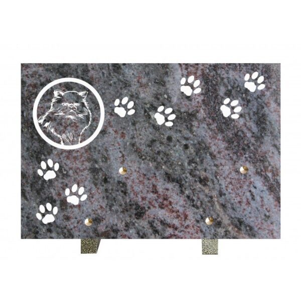 plaque-granit-n280h-vt-20x30cm-chasseur