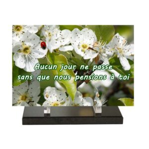 Plaque funéraire fleurs blanches et coccinelle